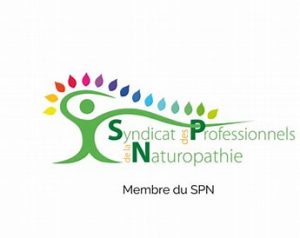 logo SPN